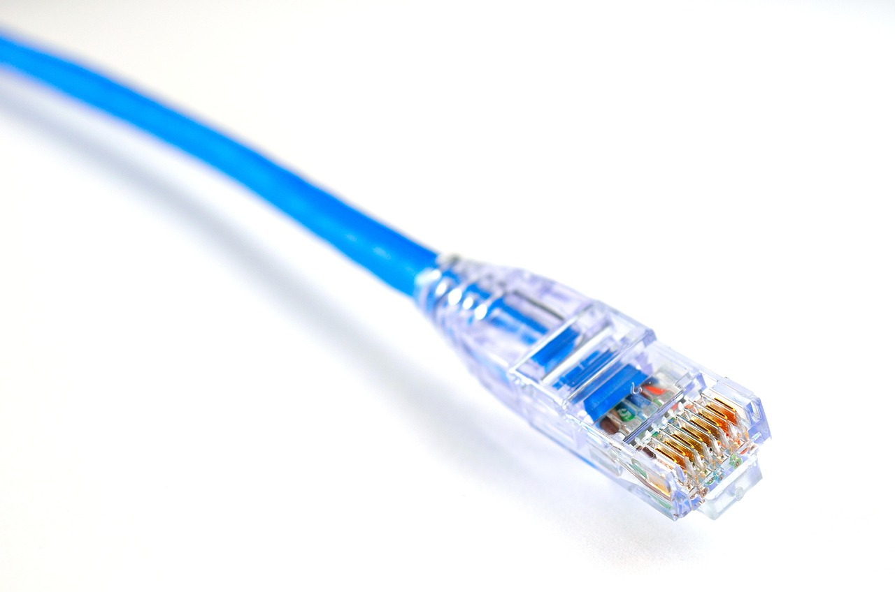 blue ethernet network cables